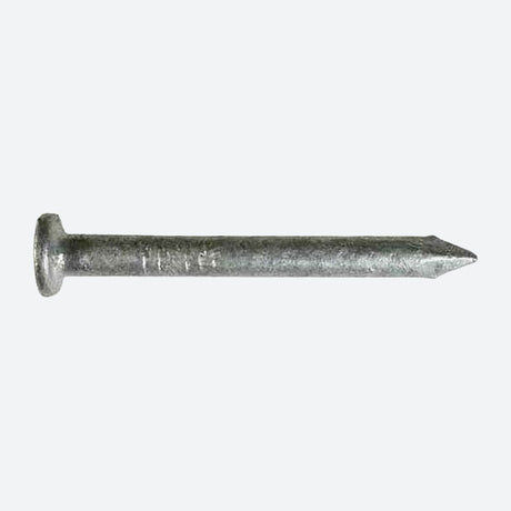 Simpson Galvanized Joist Hanger Nails