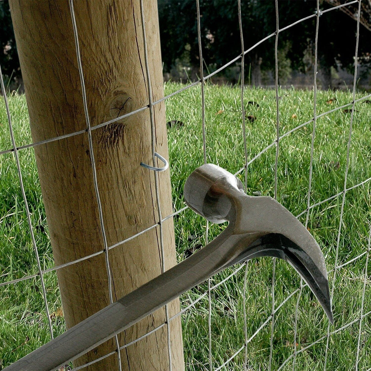 Simpson Strong-Tie S13125FS1 (1-1/4") Fencing Staples - 304 Stainless Steel (1 lb.) - 2