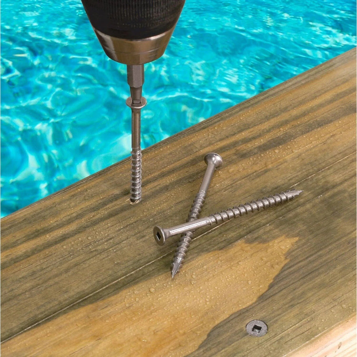 Simpson Strong-Tie T10300DB1 (#10 x 3") Bugle-Head SS Wood Screw - Square Drivel (1 lb) - 3