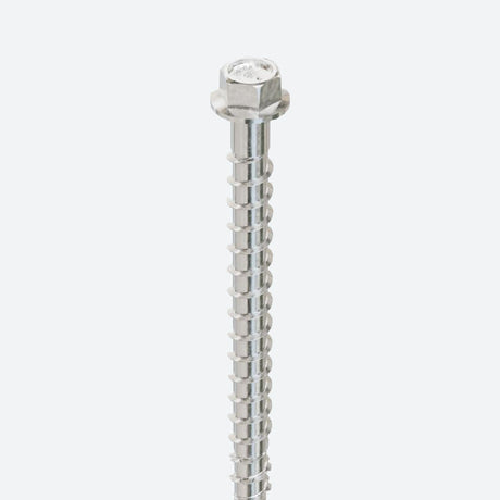 Simpson Stainless Steel Concrete Screws