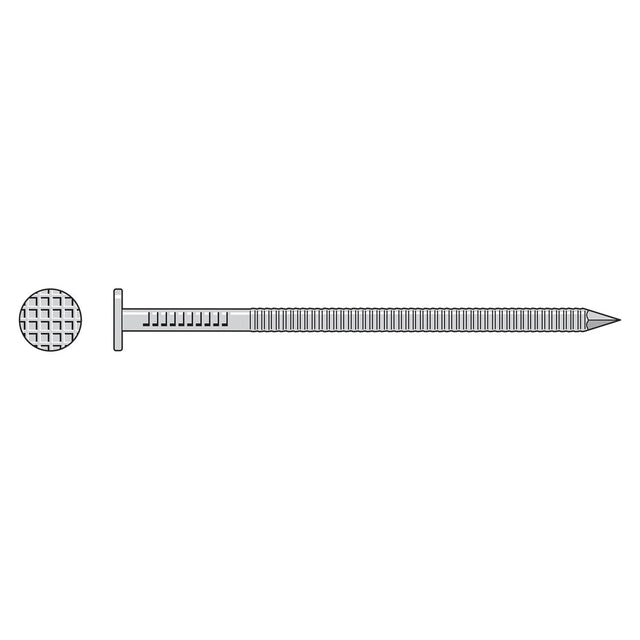 Simpson Strong-Tie S6PTD1 (2") 6D 11ga Preservative-Treated Wood Decking Nail - Annular Ring Shank (1 lb.)