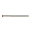 Simpson Strong-Tie S8SNDSB (2-1/2" x .092") 14Ga Stainless Steel Painted Siding Nail - Sienna (25 lb.)