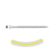 Simpson Strong-Tie SSDTH3S (#7 x 3") Trim-Head SS Decking Screw - Sharp Point, Collated(1000 Pack)