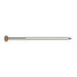 Simpson Strong-Tie S16SNDS5 (3-1/2" x 0.120") Painted Siding Nail Type 304 Stainless Steel, Sienna (5 lb. Tub)