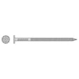 Simpson Strong-Tie S20ACN5 (4" x 0.203") Common Nail, Annular Ring Shank, Type 304 Stainless Steel (5 lb. Tub)