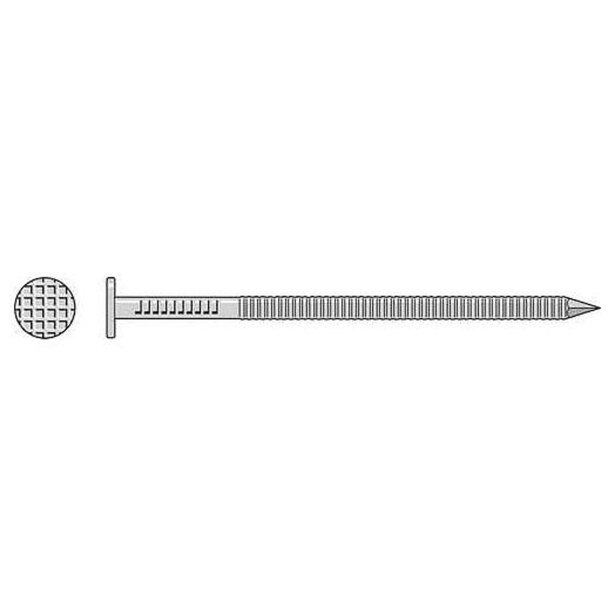 Simpson Strong-Tie S20ACN5 (4" x 0.203") Common Nail, Annular Ring Shank, Type 304 Stainless Steel (5 lb. Tub)