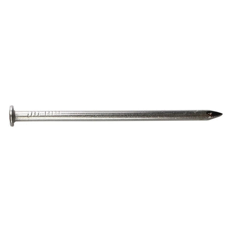 Simpson Strong-Tie T20CN1 (20d 4") 6Ga Stainless Steel Smooth Shank Common Nail (1 lb.)