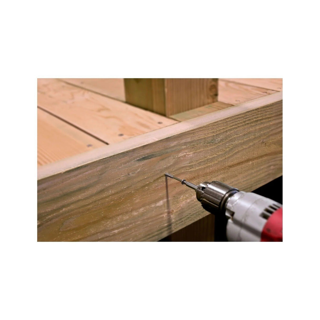 Simpson Strong-Tie T08162DBB (#8 x 1-5/8") Bugle-Head Wood Screw, Square Drive, Type 316 (4000 Pack) - 5