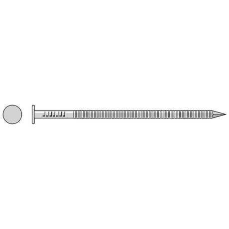 Simpson Strong-Tie T40ACNB (5-in. x .203-in.) Common Nail, Annular Ring Shank, Type 316 Stainless Steel (25 lb.)